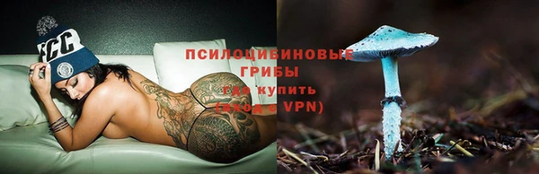 экстази Богданович