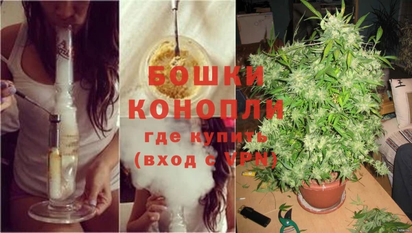 экстази Богданович