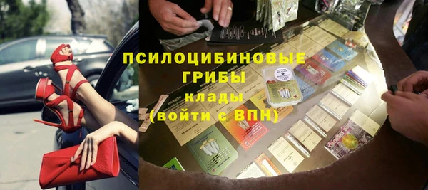 гашик Богородицк