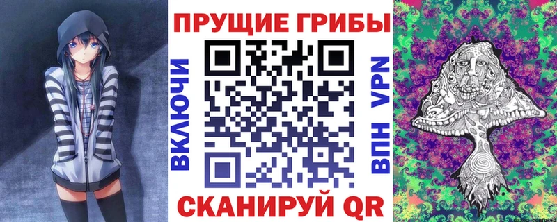 Псилоцибиновые грибы Psilocybe даркнет сайт Липецк