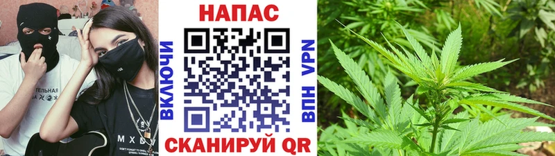 где найти наркотики  Липецк  сайты даркнета телеграм  Конопля планчик 